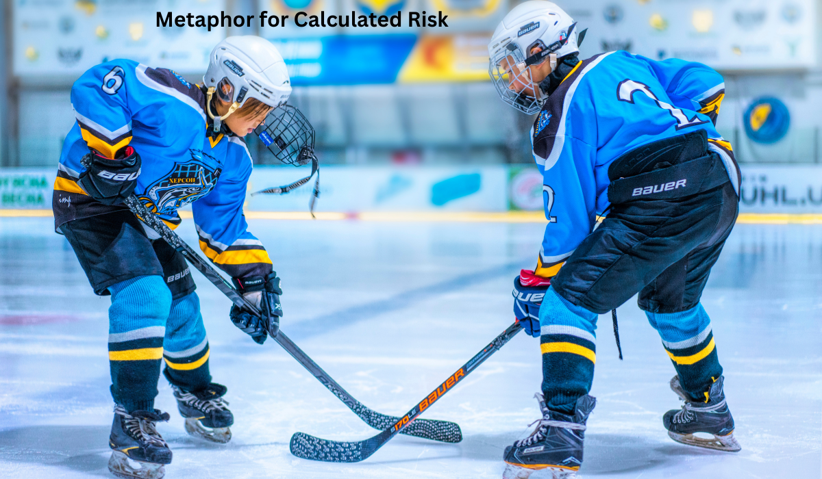 Metaphor for Calculated Risk